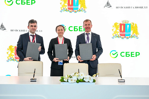 В Ивановской области создадут первое в России производство лиоцелла